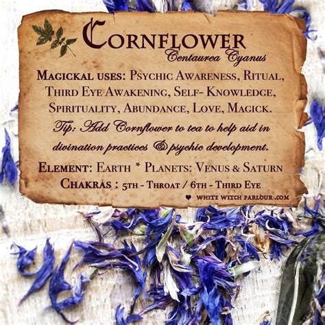 Cornflower blue witchcraft immensely sure phenomenal results